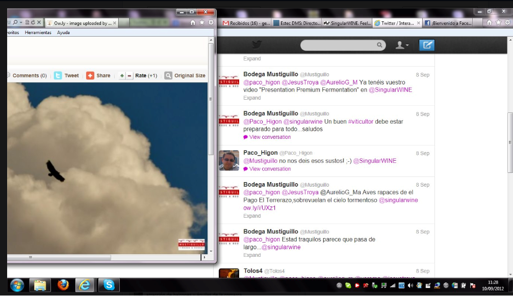 El estres en vendimias se traslada al usuario SingularWINE.